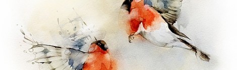 Inspiración: pájaros