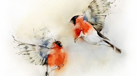 Inspiración: pájaros