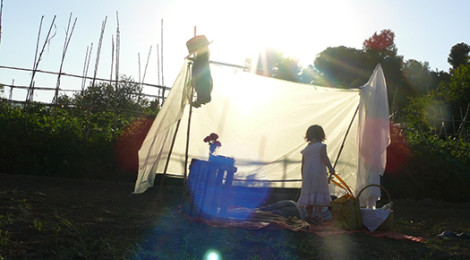 Una tarde en el huerto: picnic mediterráneo
