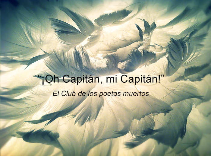 Viernes… y ¡Acción! (Carpe diem)