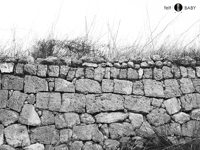 Picnic huerto muro piedra
